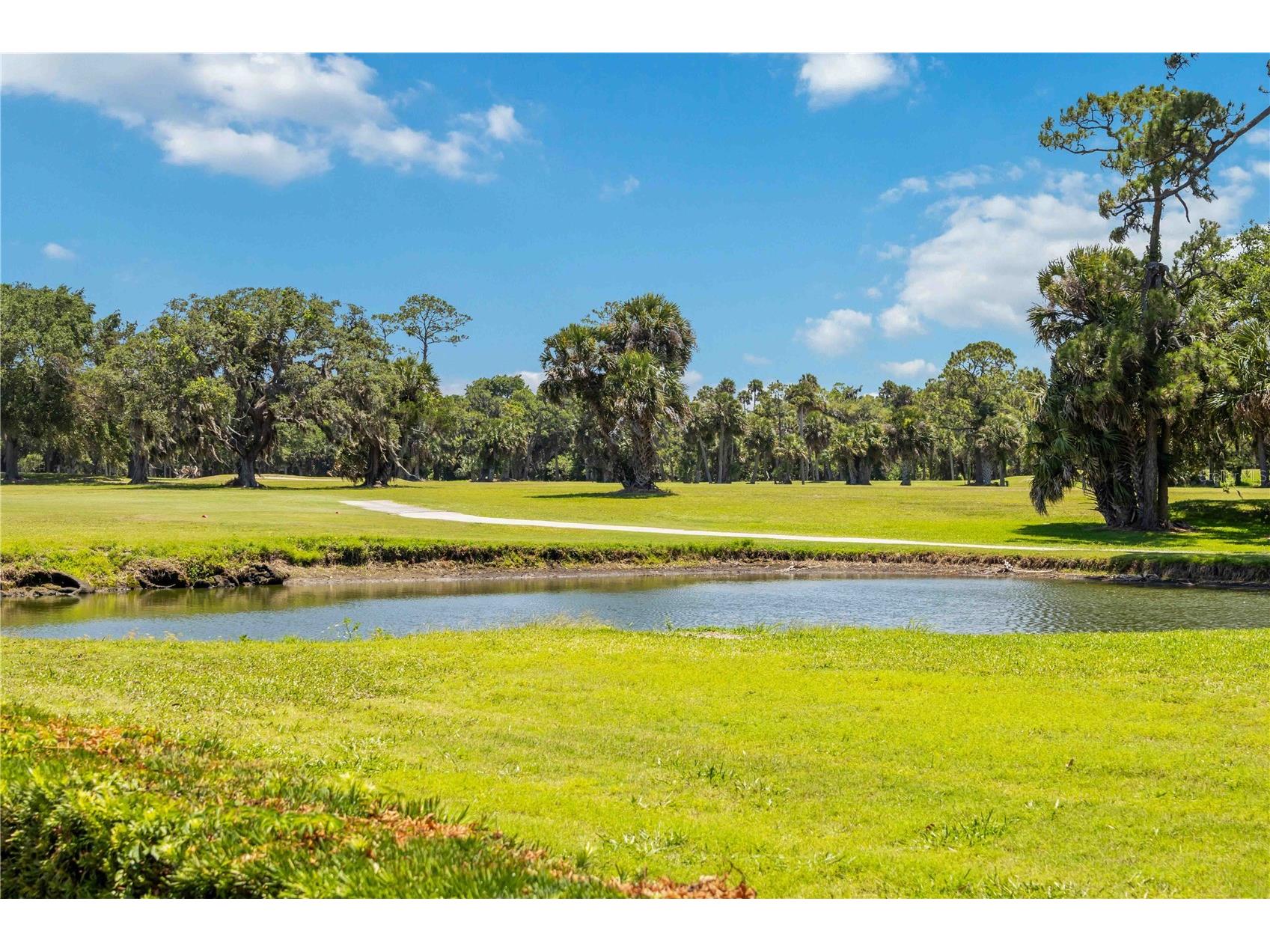 327 Wilder Boulevard #B501 Daytona Beach FL 32114 O6411318 image29