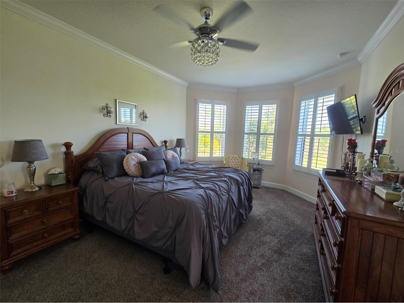 3270 Francoa Drive Odessa FL 33556 W7886389 image12