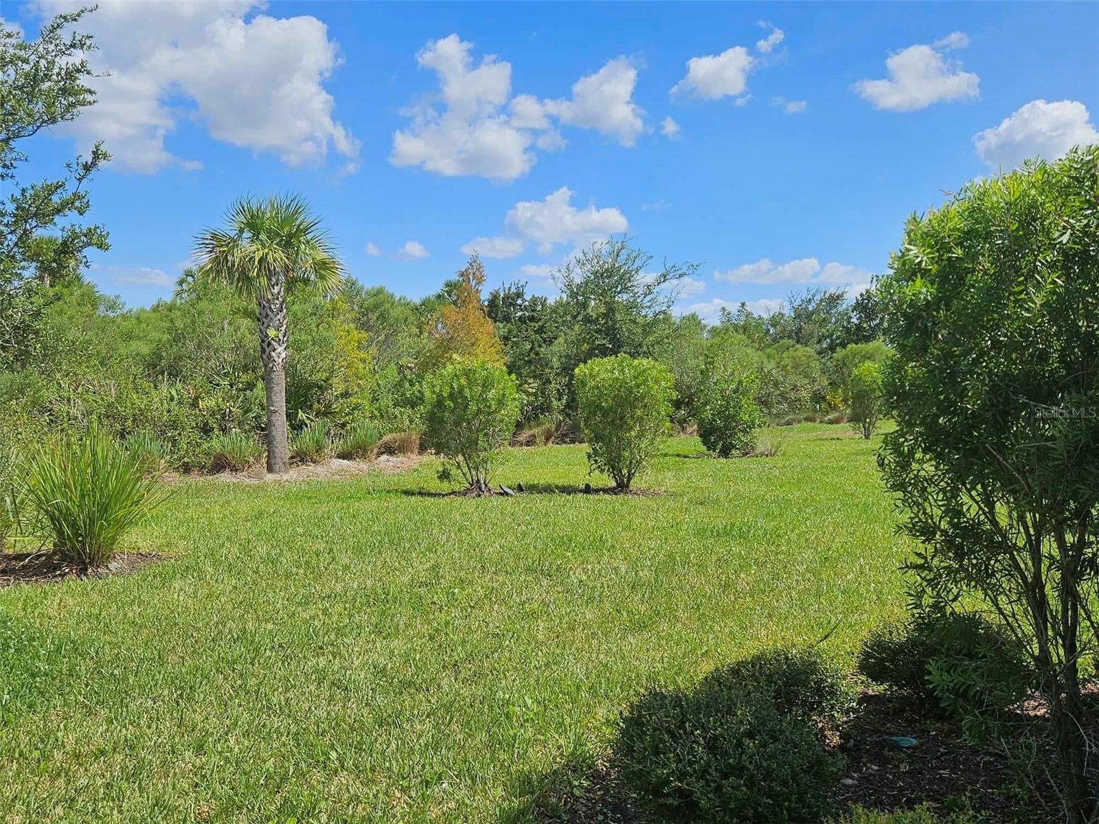 3270 Francoa Drive Odessa FL 33556 W7886389 image28
