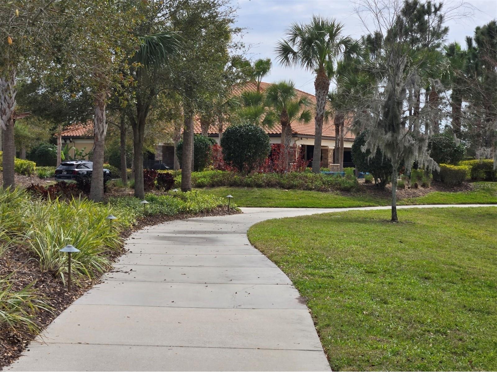 3270 Francoa Drive Odessa FL 33556 W7886389 image29