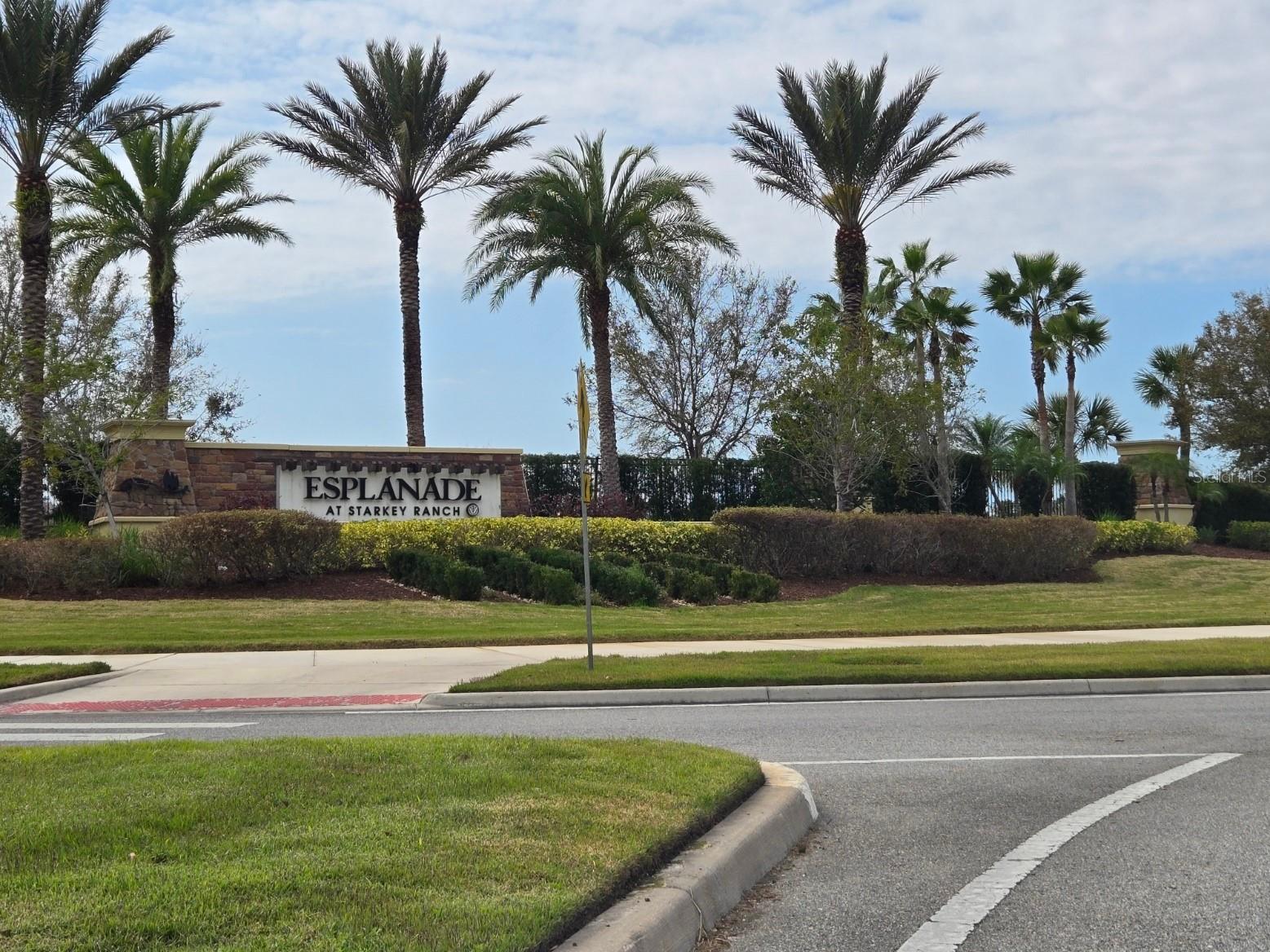 3270 Francoa Drive Odessa FL 33556 W7886389 image30