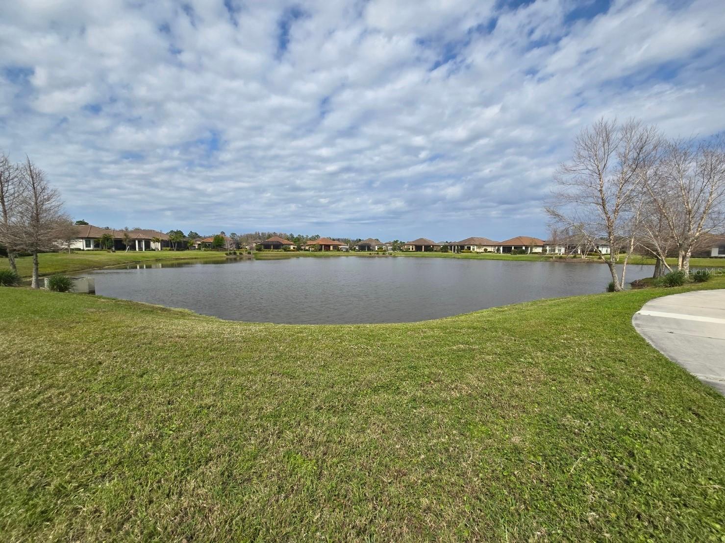 3270 Francoa Drive Odessa FL 33556 W7886389 image33