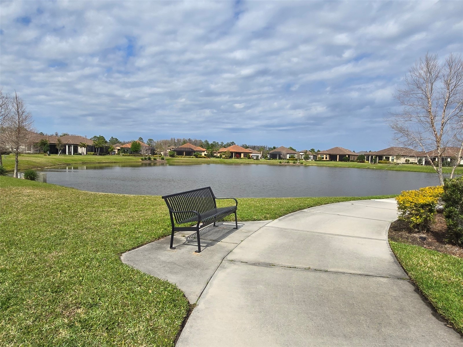 3270 Francoa Drive Odessa FL 33556 W7886389 image34