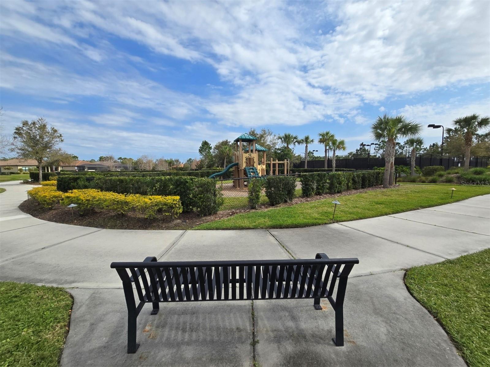 3270 Francoa Drive Odessa FL 33556 W7886389 image35