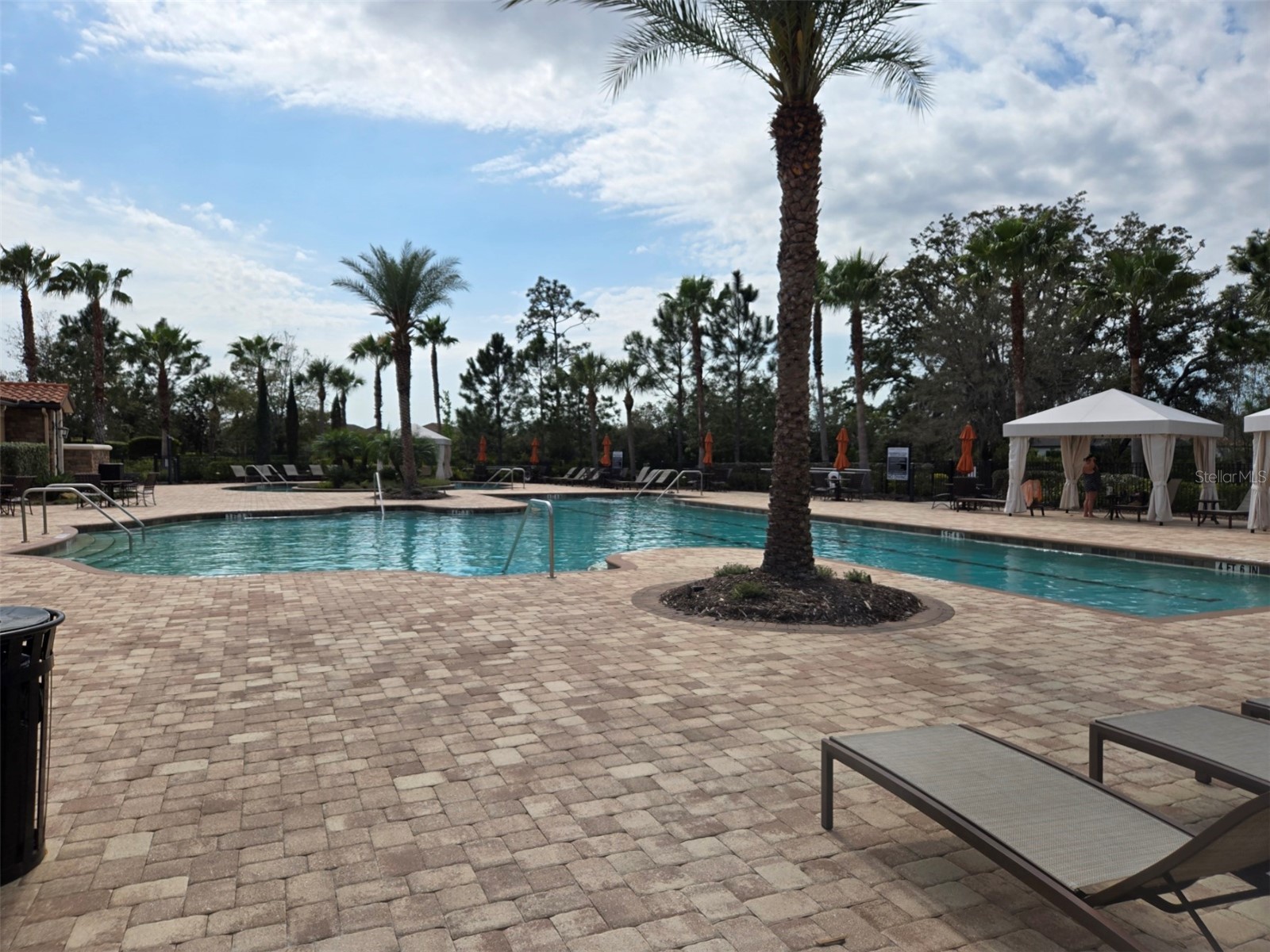 3270 Francoa Drive Odessa FL 33556 W7886389 image39