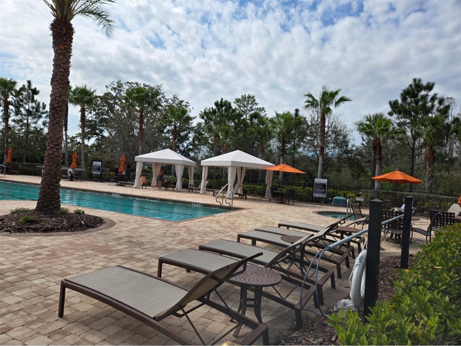 3270 Francoa Drive Odessa FL 33556 W7886389 image40