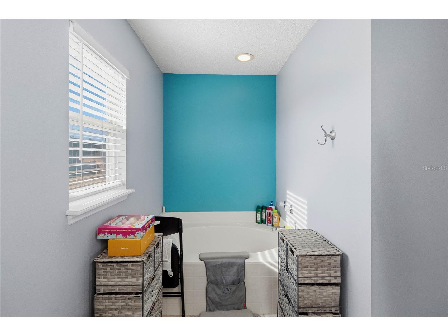 3270 Wild Pepper Court Deltona FL 32725 O6375492 image29