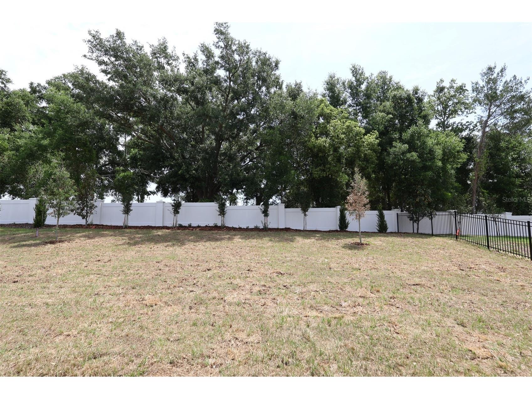 3270 Wolf Lake Avenue Apopka FL 32712 O6373502 image16