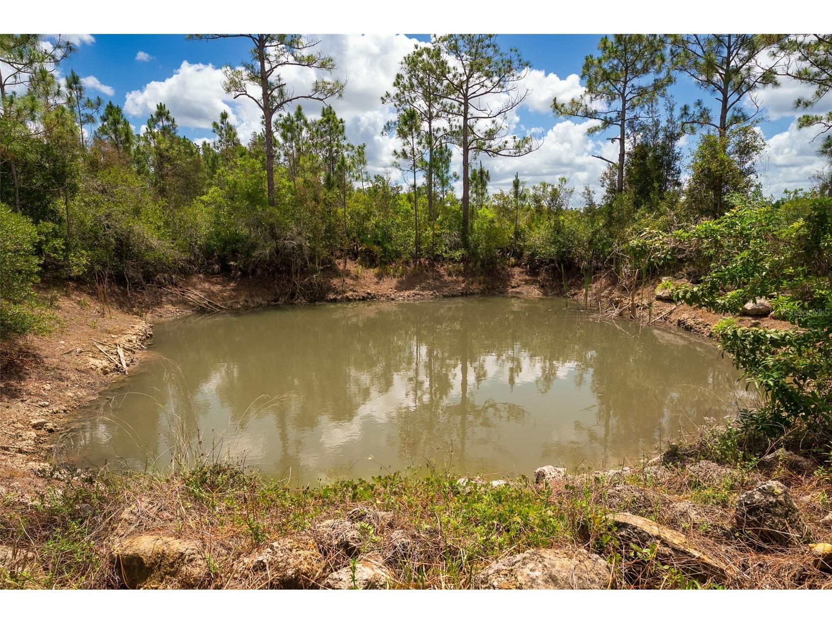 32706 Oil Well Road Punta Gorda FL 33955 C7526649 image34