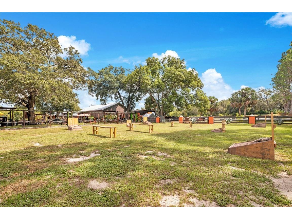 32708 Gere Lane Sorrento FL 32776 O6346579 image43