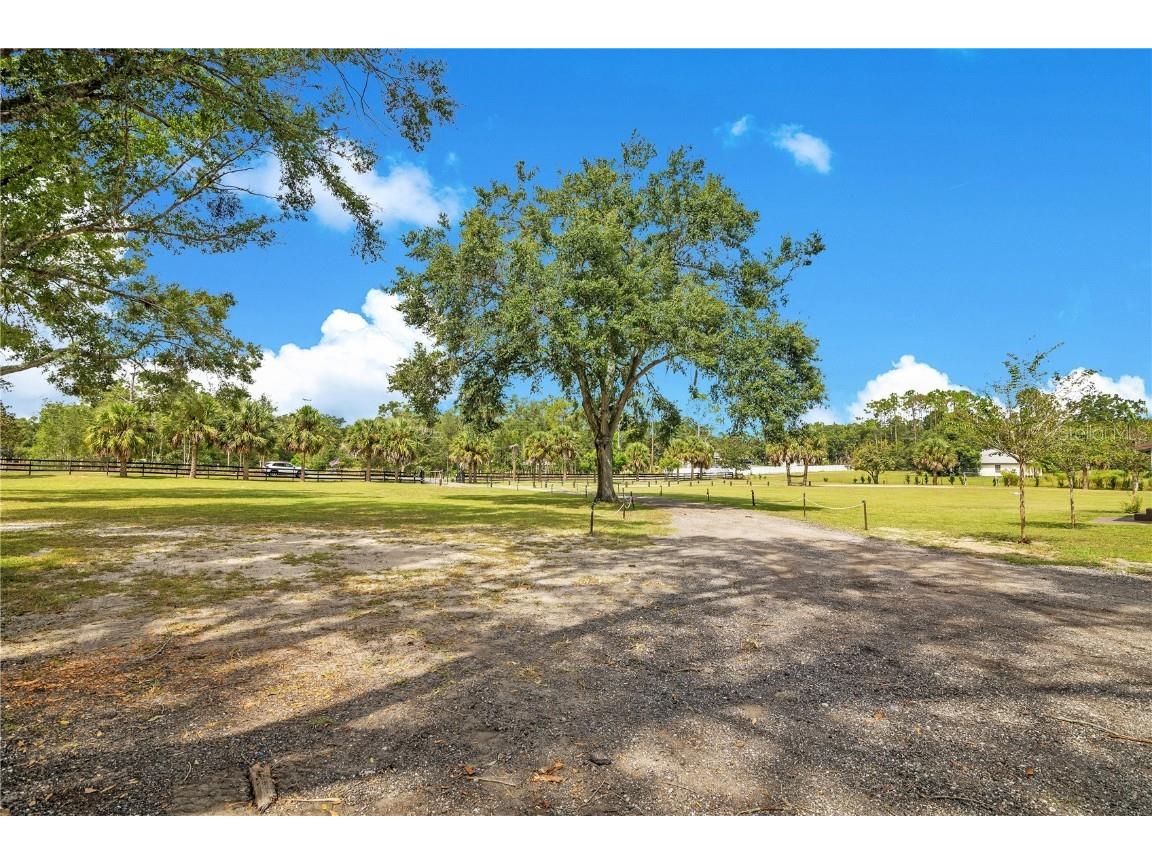 32708 Gere Lane Sorrento FL 32776 O6346579 image9