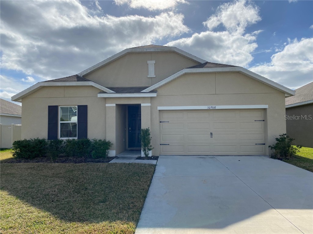 32708 Pez Landing Lane Wesley Chapel FL 33543 T3495370 image1