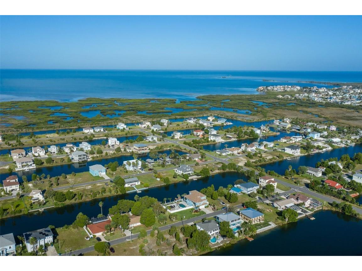 3271 Hibiscus Drive Hernando Beach FL 34607 - HERNANDO BEACH /GULF AMERICA W7879758 image77