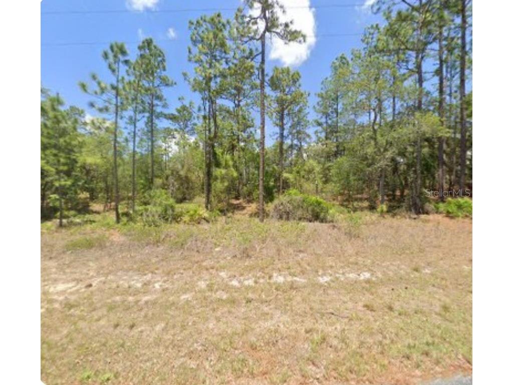 3271 W Montgomery Lane Citrus Springs FL 34433 R4910199 image1