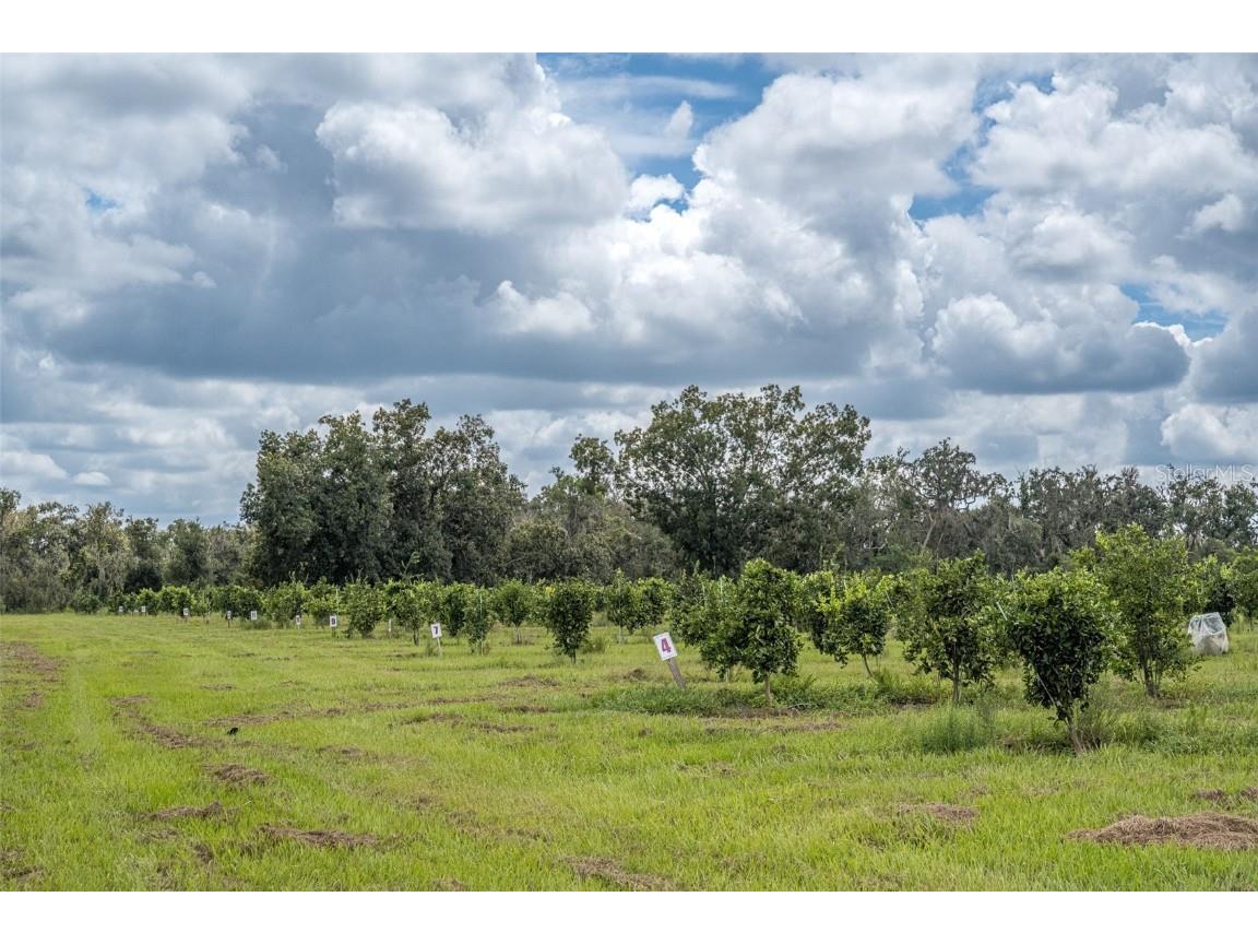 32715 Singletary Road Myakka City FL 34251 A4668501 image11