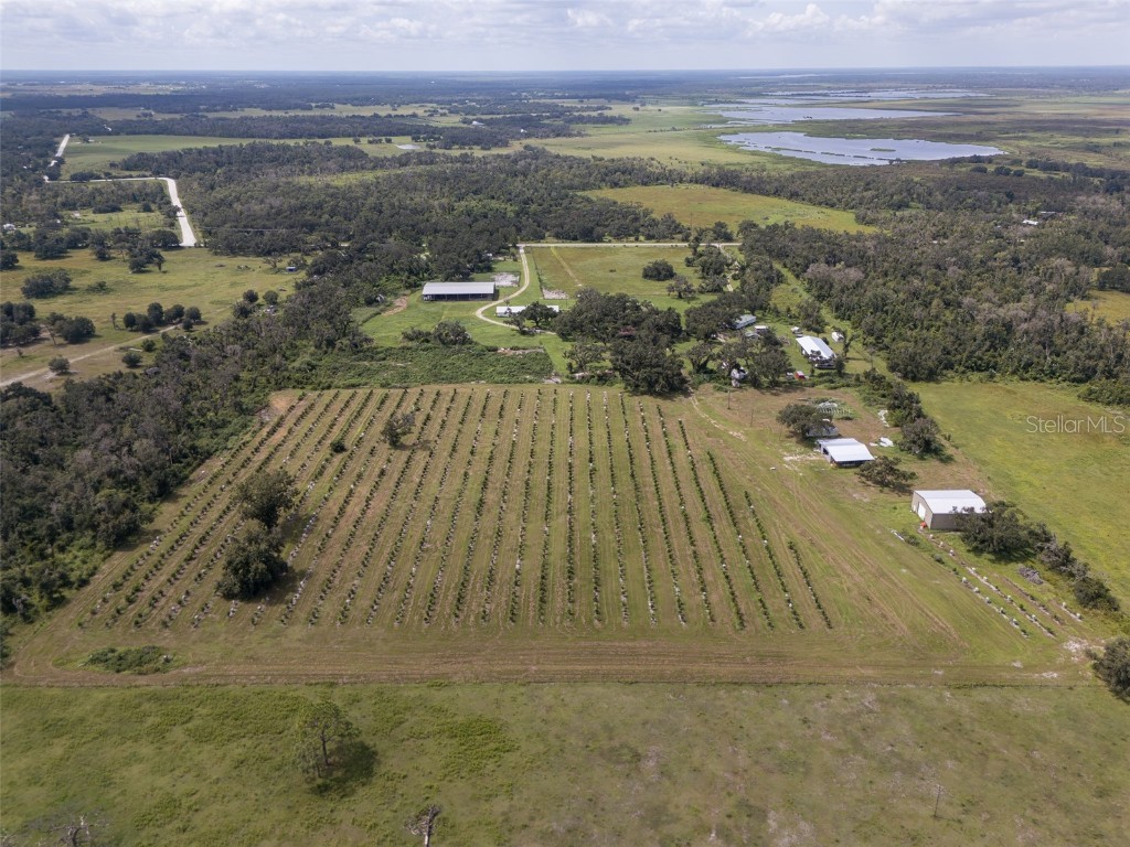 32715 Singletary Road Myakka City FL 34251 A4668501 image12