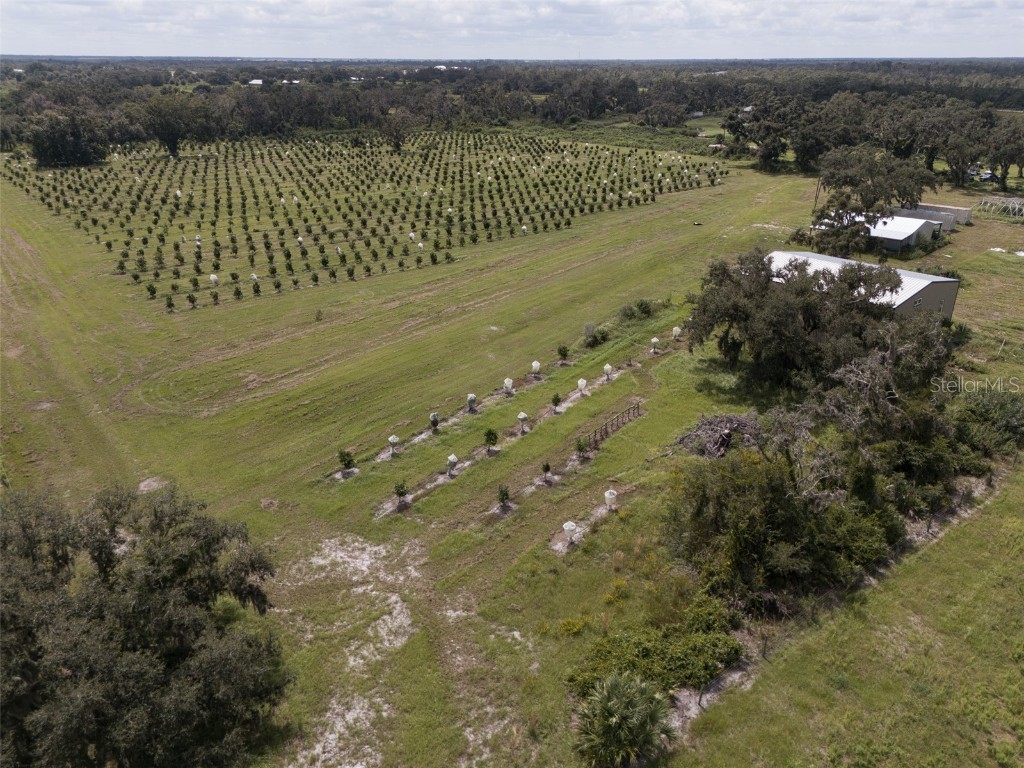 32715 Singletary Road Myakka City FL 34251 A4668501 image14