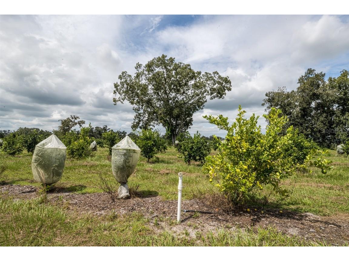 32715 Singletary Road Myakka City FL 34251 A4668501 image17