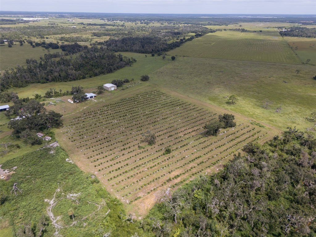 32715 Singletary Road Myakka City FL 34251 A4668501 image2