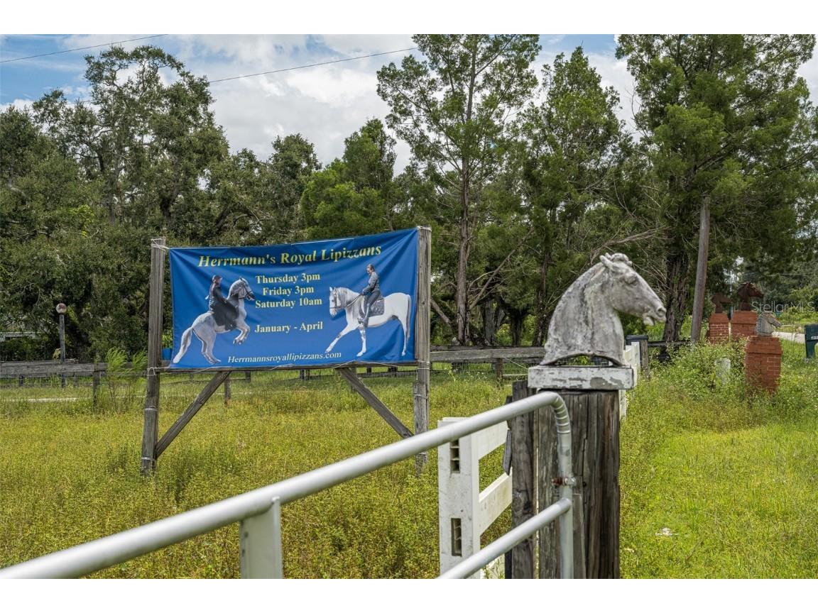 32715 Singletary Road Myakka City FL 34251 A4668501 image21