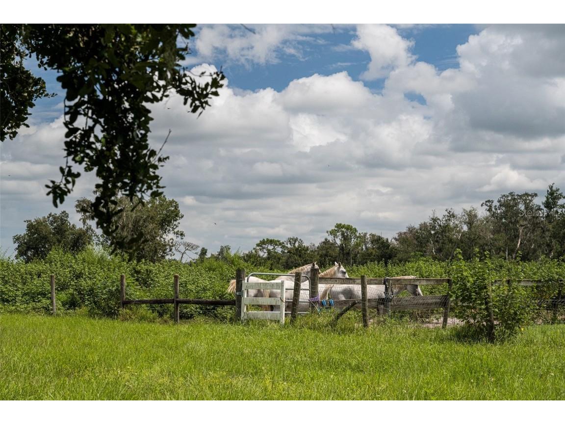 32715 Singletary Road Myakka City FL 34251 A4668501 image22