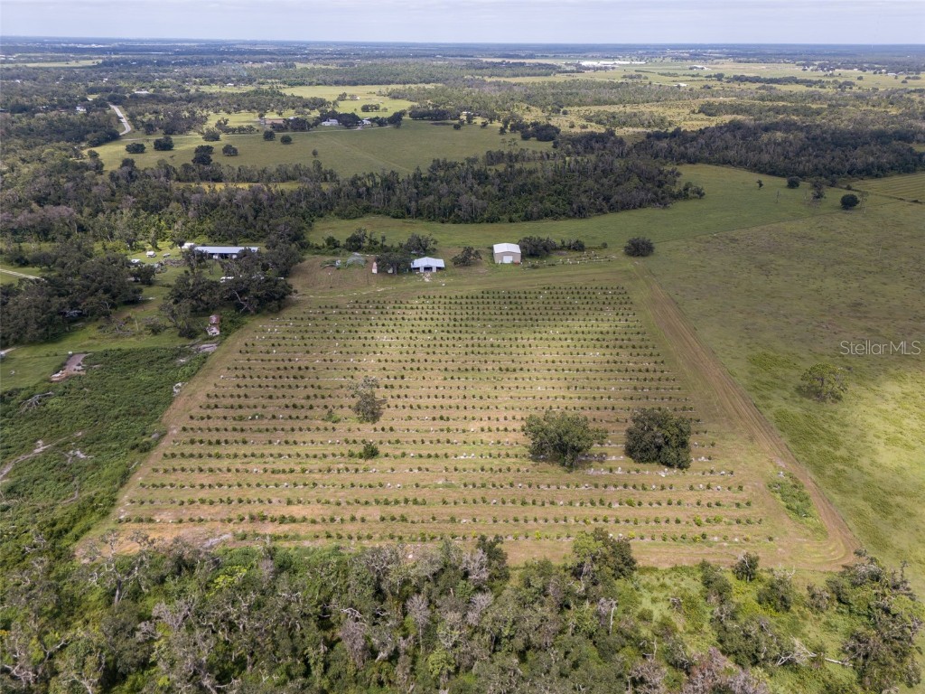 32715 Singletary Road Myakka City FL 34251 A4668501 image24