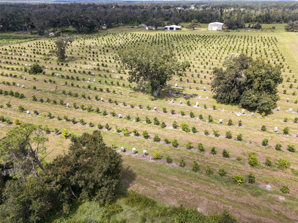 32715 Singletary Road Myakka City FL 34251 A4668501 image3