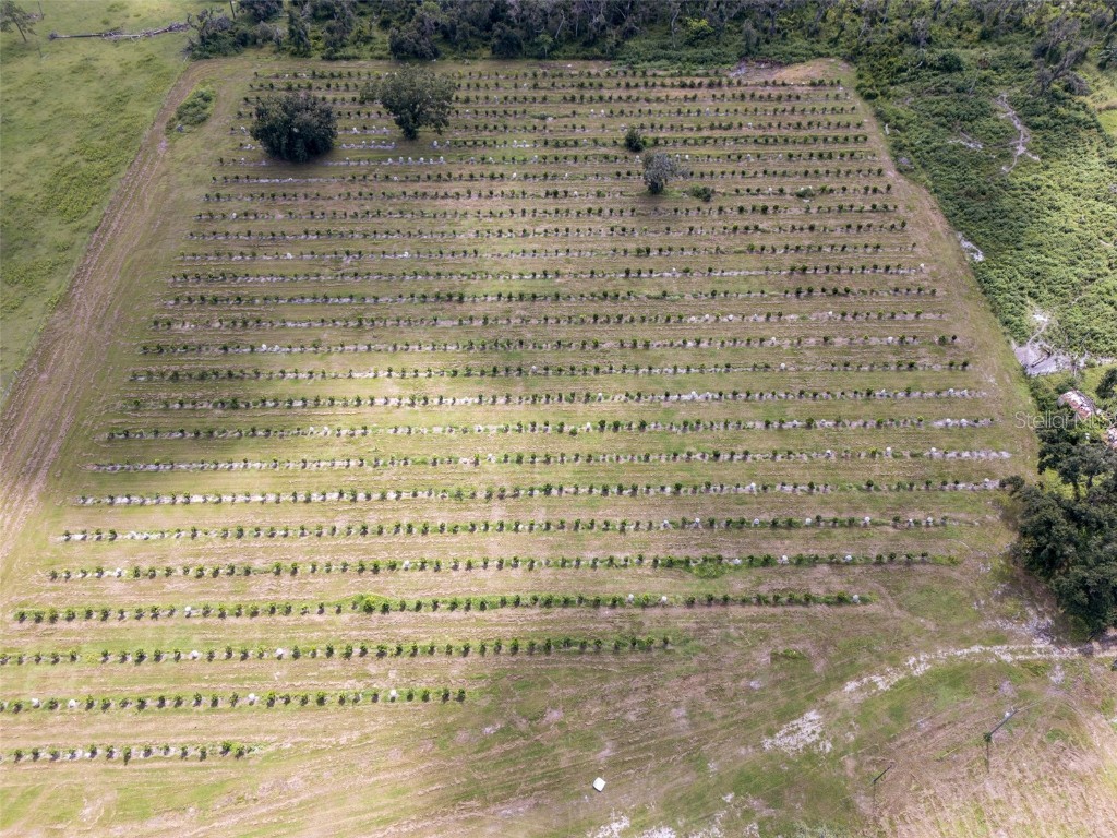 32715 Singletary Road Myakka City FL 34251 A4668501 image43