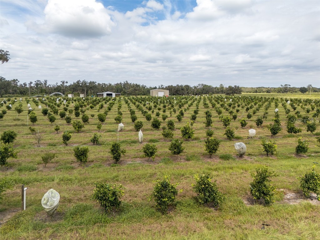 32715 Singletary Road Myakka City FL 34251 A4668501 image50