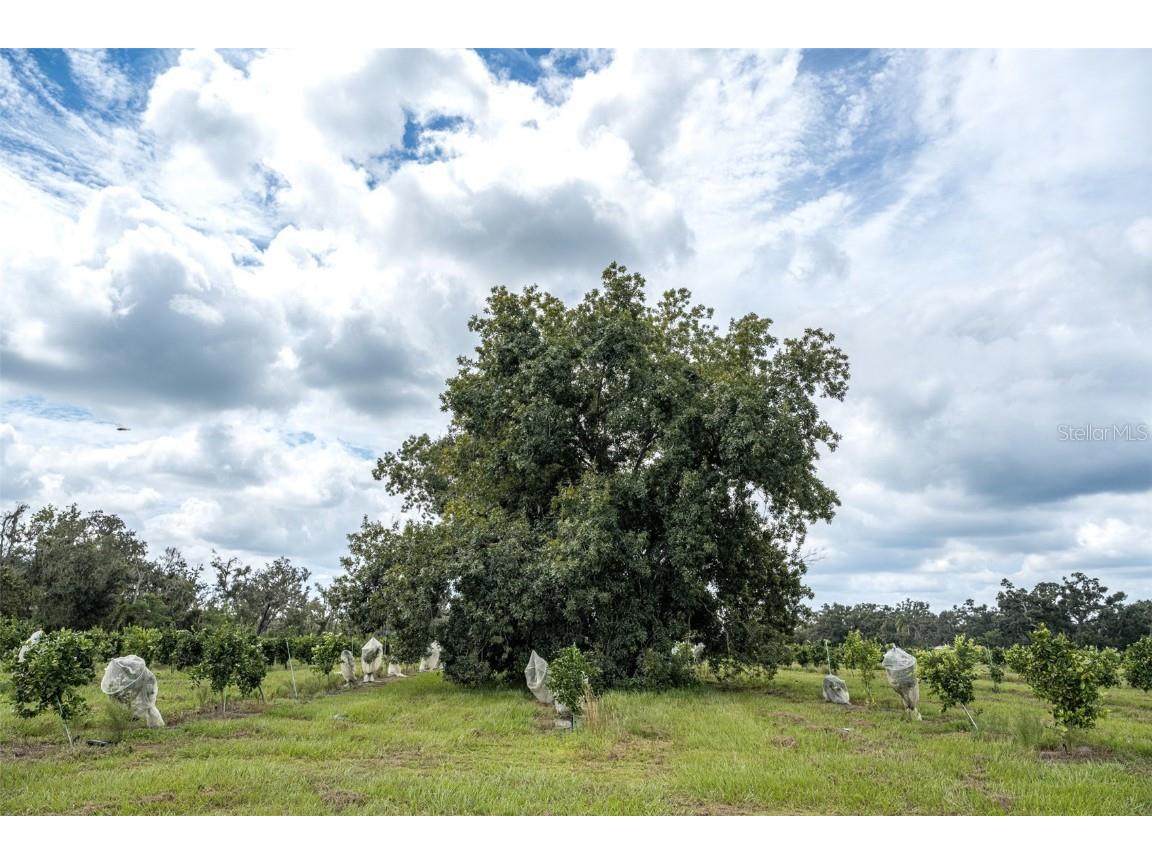 32715 Singletary Road Myakka City FL 34251 A4668501 image9