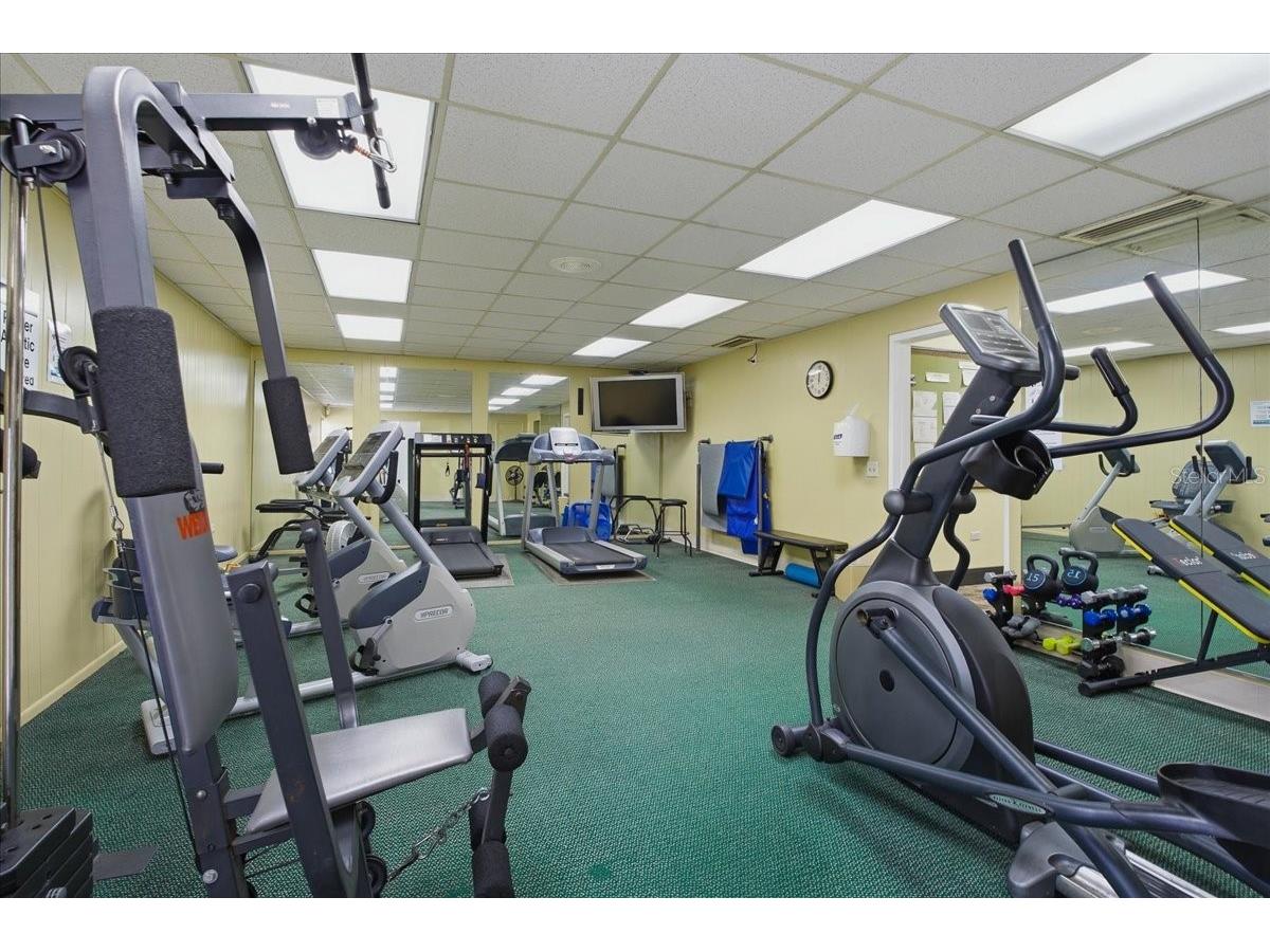 3272 Lori Lane New Port Richey FL 34655 TB8478349 image63