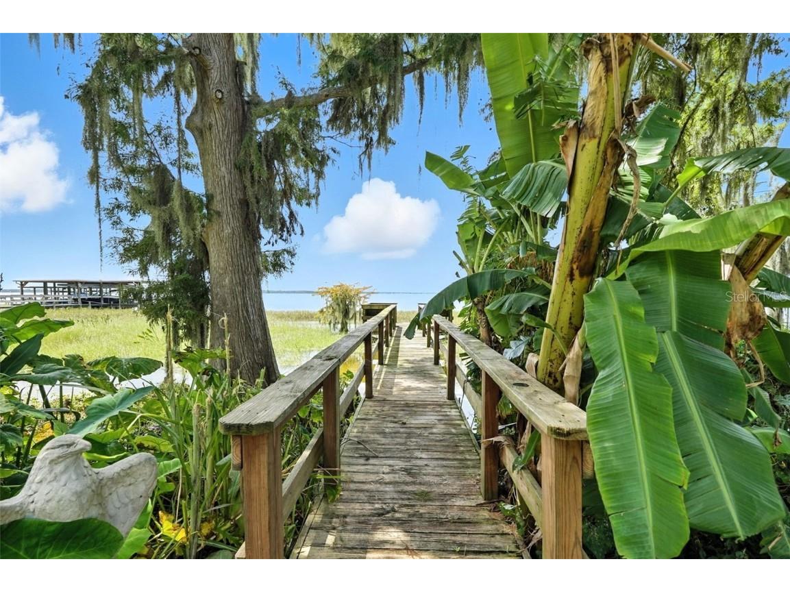 32721 Lake Eustis Drive Tavares FL 32778 - LAKE EUSTIS G5099773 image52