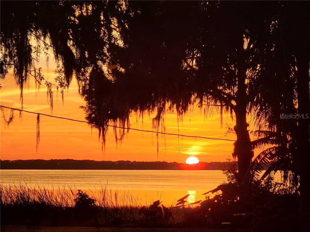 32721 Lake Eustis Drive Tavares FL 32778 - LAKE EUSTIS G5099773 image55