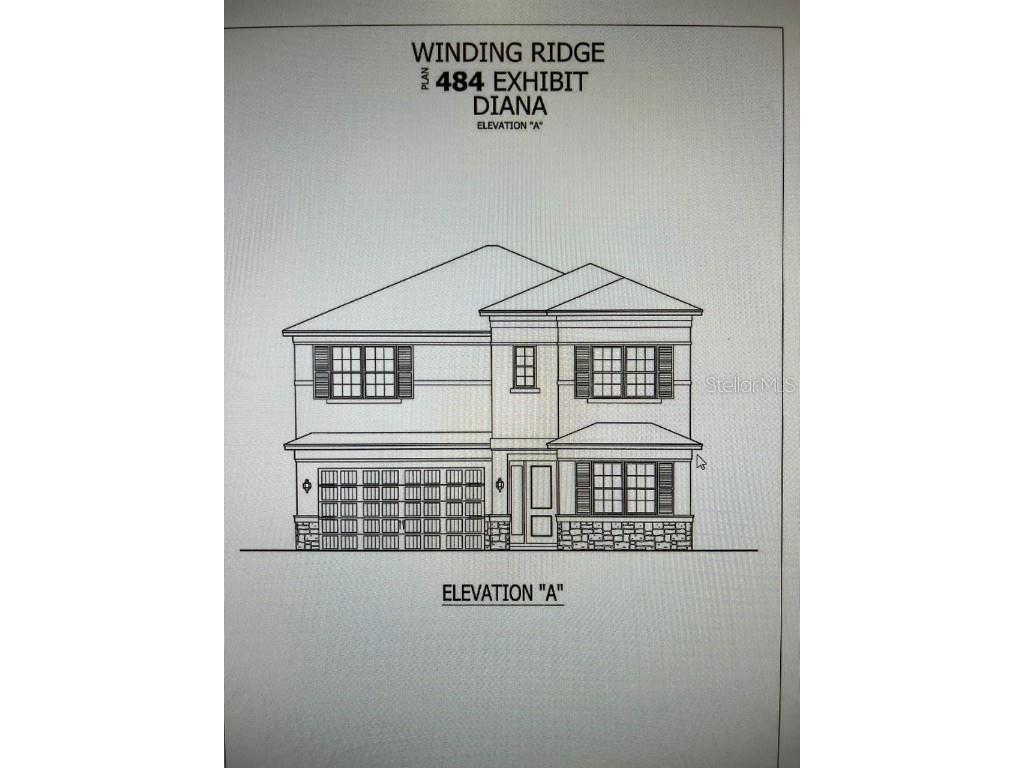 32721 Tamarind Grove Lane Wesley Chapel FL 33543 J968673 image1