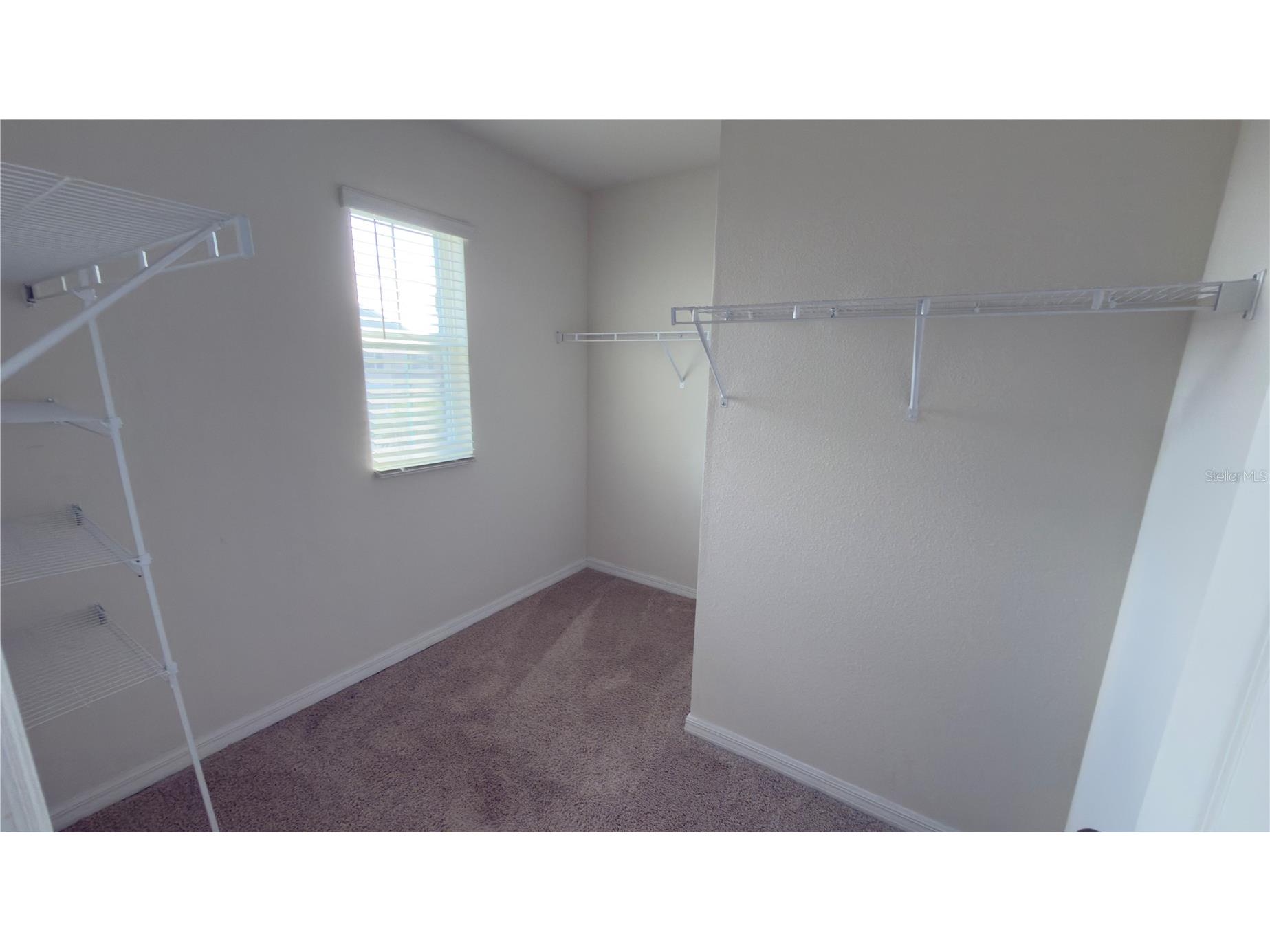 32724 Ansley Bloom Lane Wesley Chapel FL 33543 TB8526418 image18