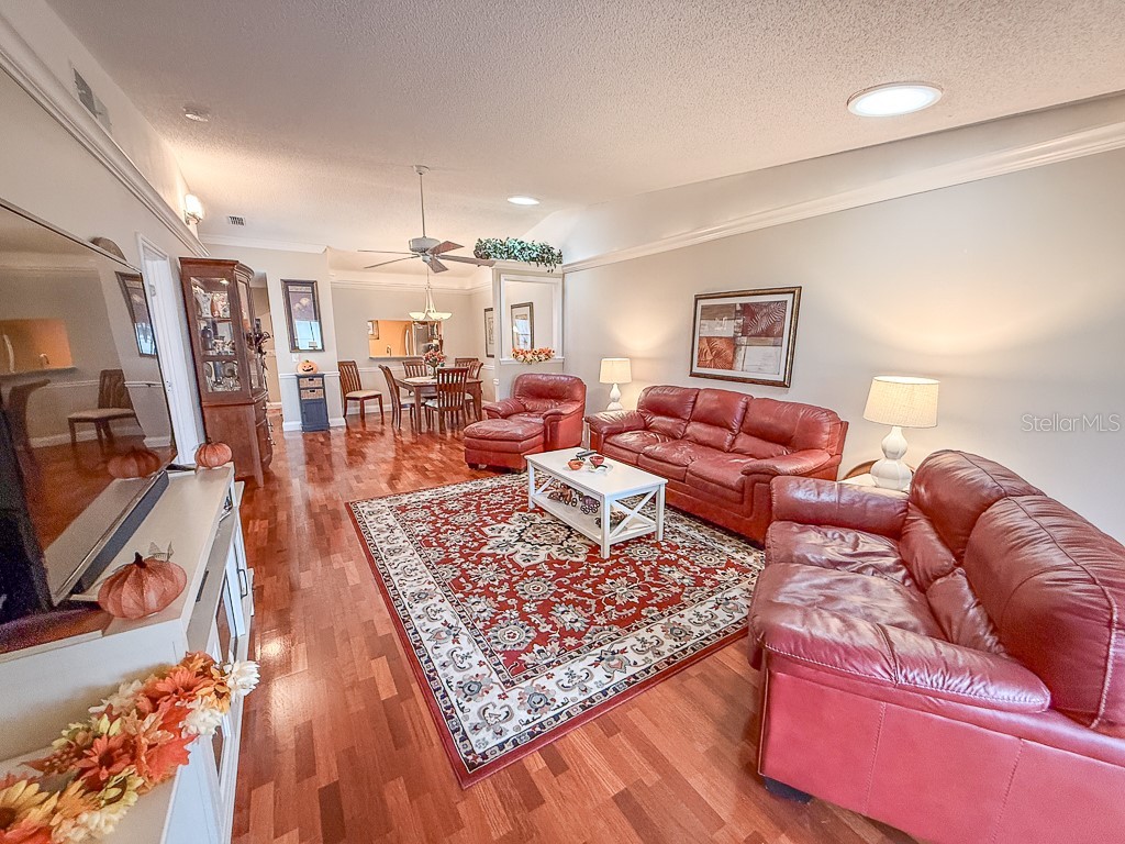 3273 Mcmath Drive Palm Harbor FL 34684 TB8440323 image17