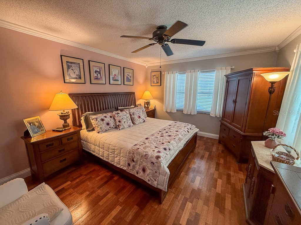 3273 Mcmath Drive Palm Harbor FL 34684 TB8440323 image20