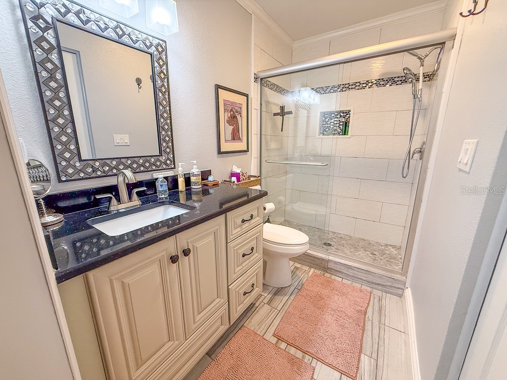 3273 Mcmath Drive Palm Harbor FL 34684 TB8440323 image22