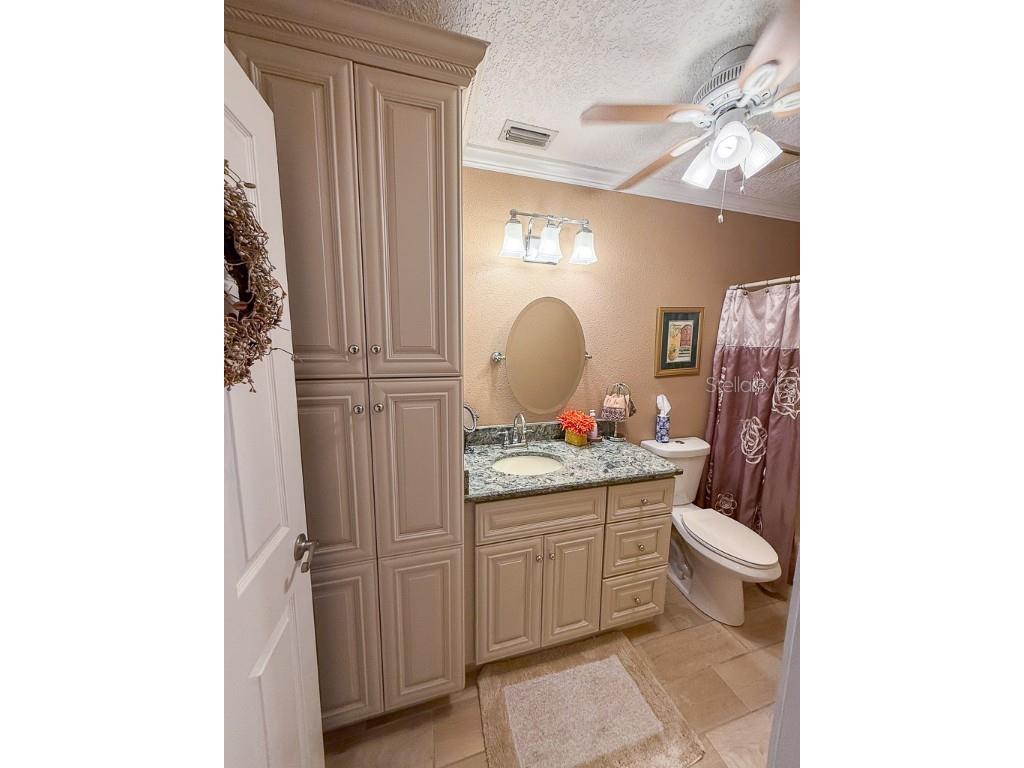 3273 Mcmath Drive Palm Harbor FL 34684 TB8440323 image29