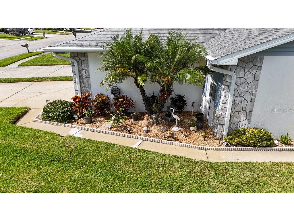 3273 Mcmath Drive Palm Harbor FL 34684 TB8440323 image3