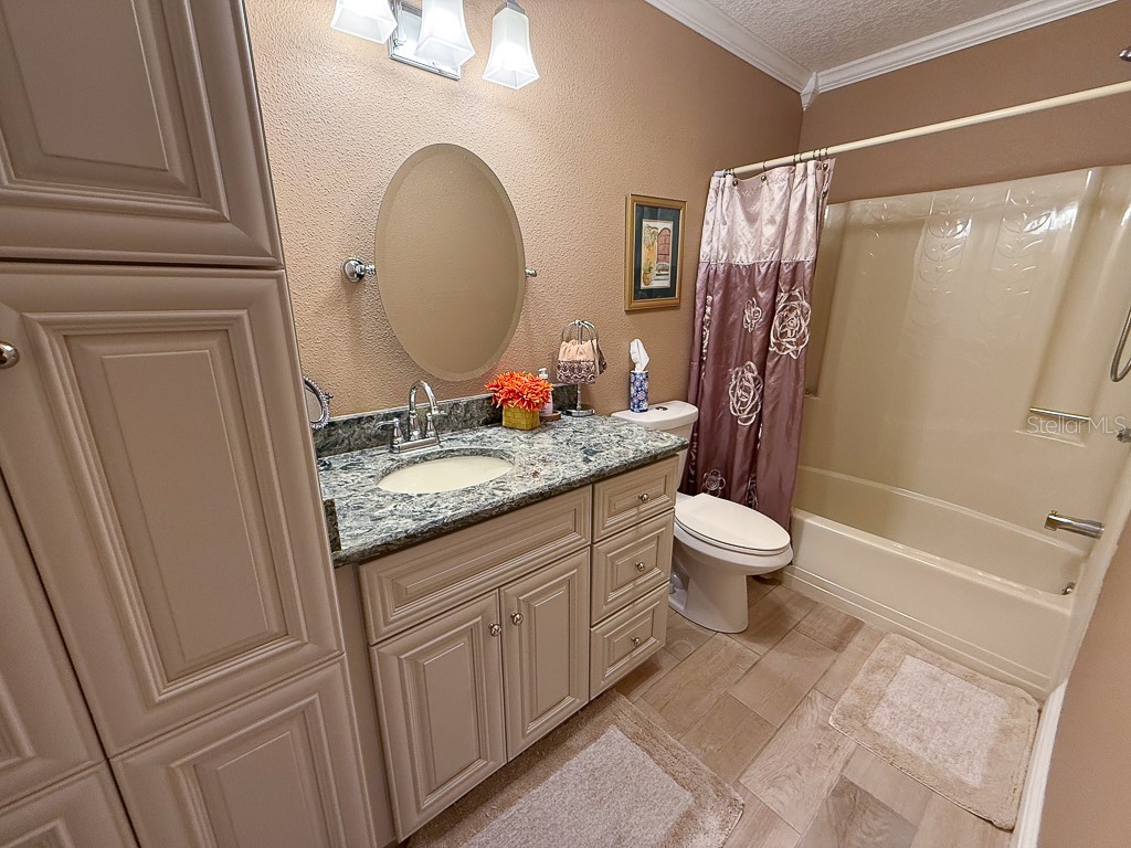 3273 Mcmath Drive Palm Harbor FL 34684 TB8440323 image30