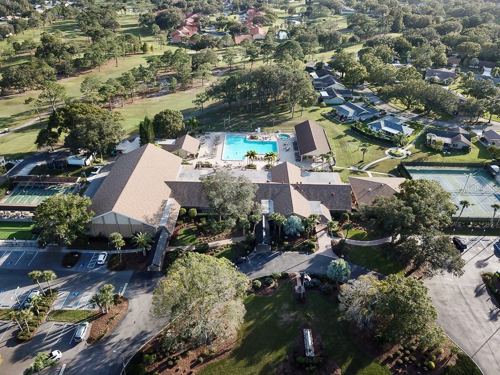 3273 Mcmath Drive Palm Harbor FL 34684 TB8440323 image48