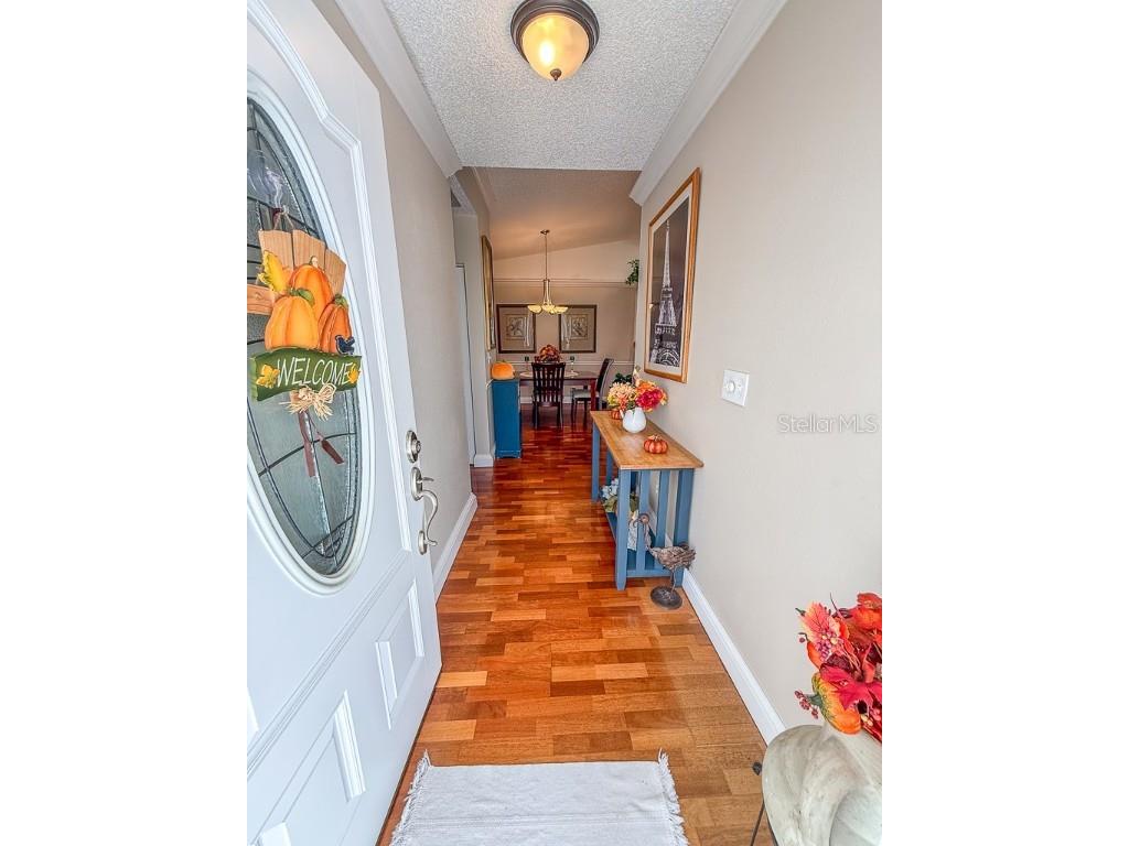 3273 Mcmath Drive Palm Harbor FL 34684 TB8440323 image5