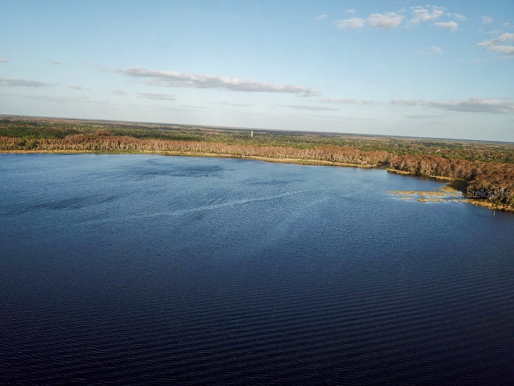 3273 Mcmath Drive Palm Harbor FL 34684 TB8440323 image52