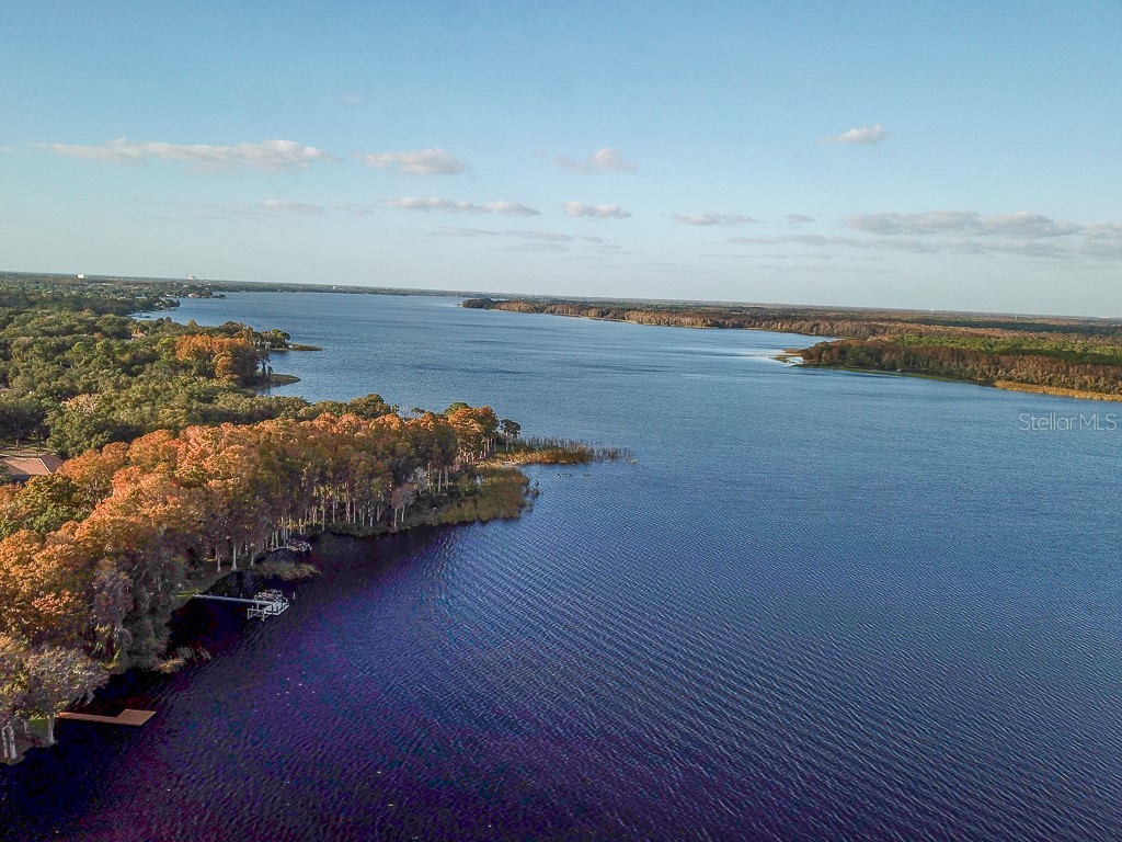 3273 Mcmath Drive Palm Harbor FL 34684 TB8440323 image53