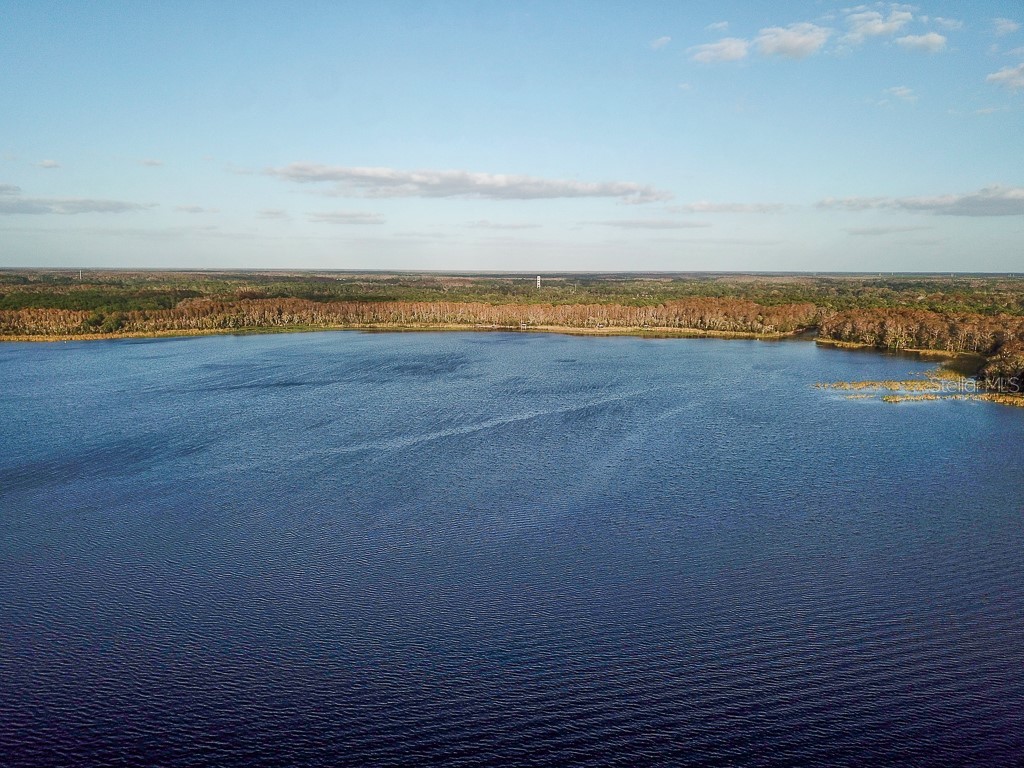 3273 Mcmath Drive Palm Harbor FL 34684 TB8440323 image54