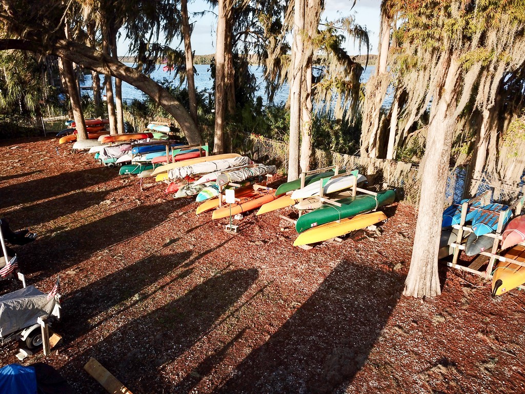 3273 Mcmath Drive Palm Harbor FL 34684 TB8440323 image57