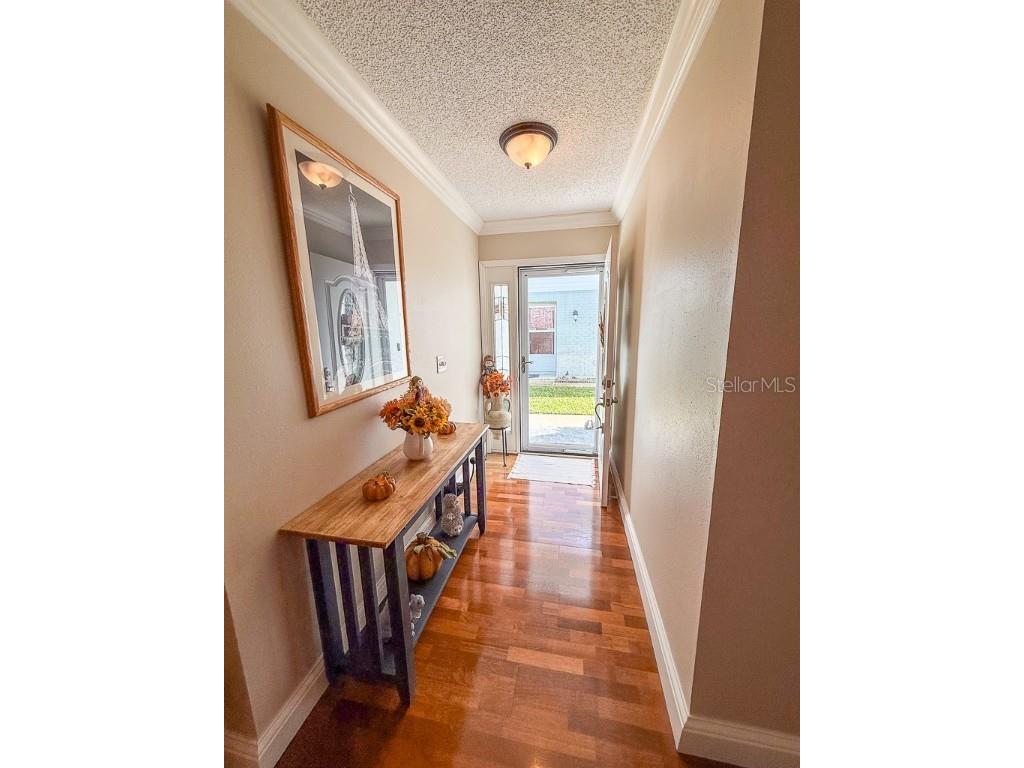 3273 Mcmath Drive Palm Harbor FL 34684 TB8440323 image6