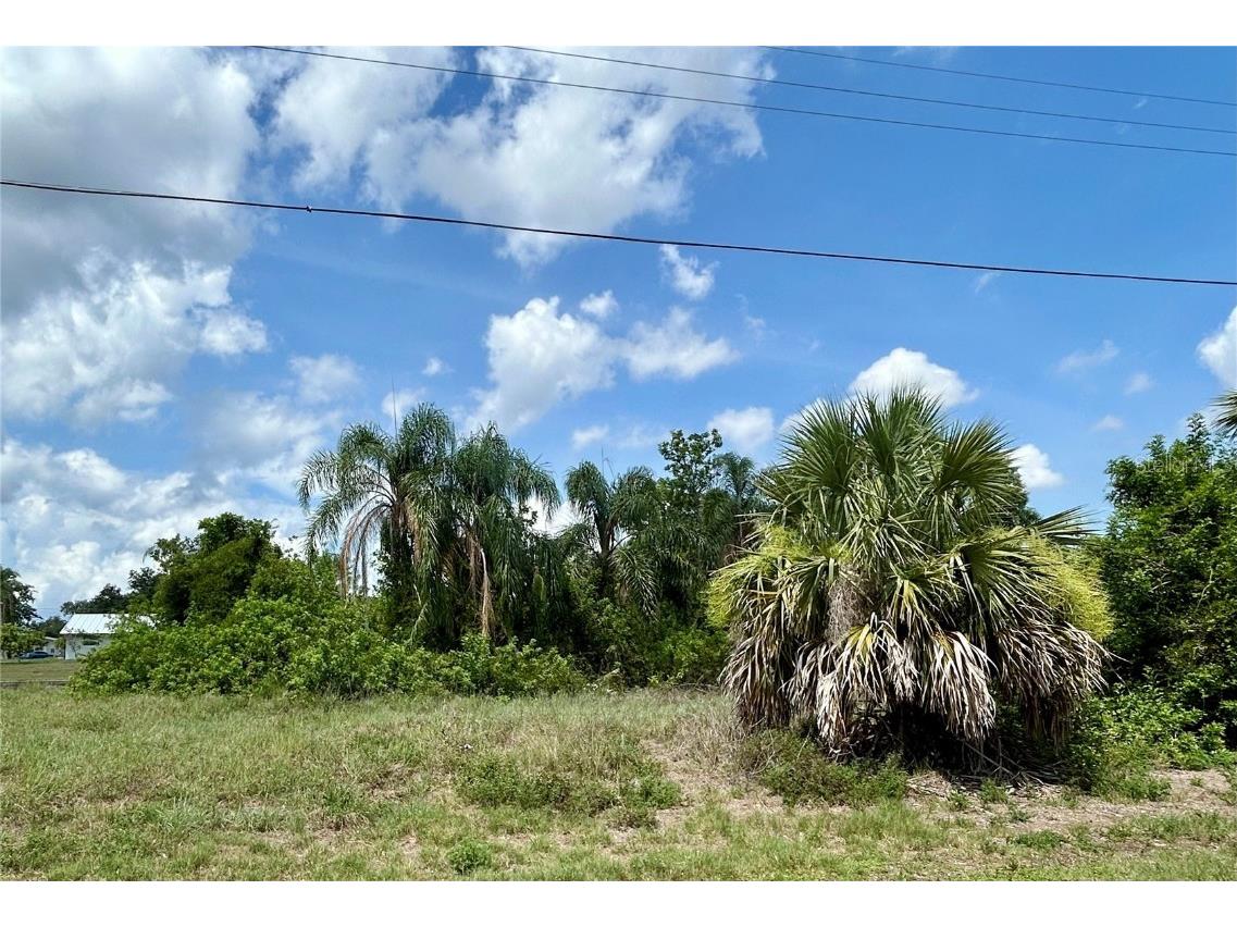 3273 Santa Barbara Drive Punta Gorda FL 33983 C7510583 image5