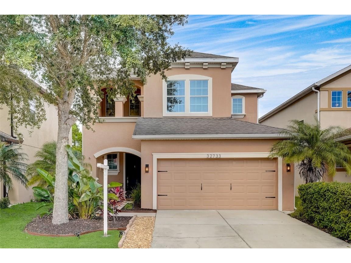 32733 Windelstraw Drive Wesley Chapel FL 33545 U8232656 image1